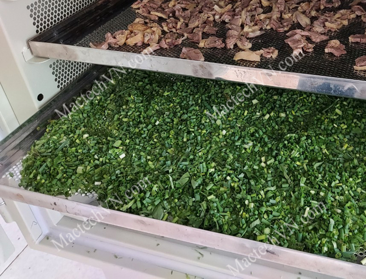 sấy lạnh lá hành làm rau thơm