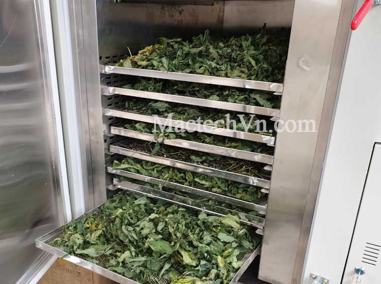 máy sấy lạnh cho thảo dược, sấy các loại trà thảo dược, lá thảo dược..