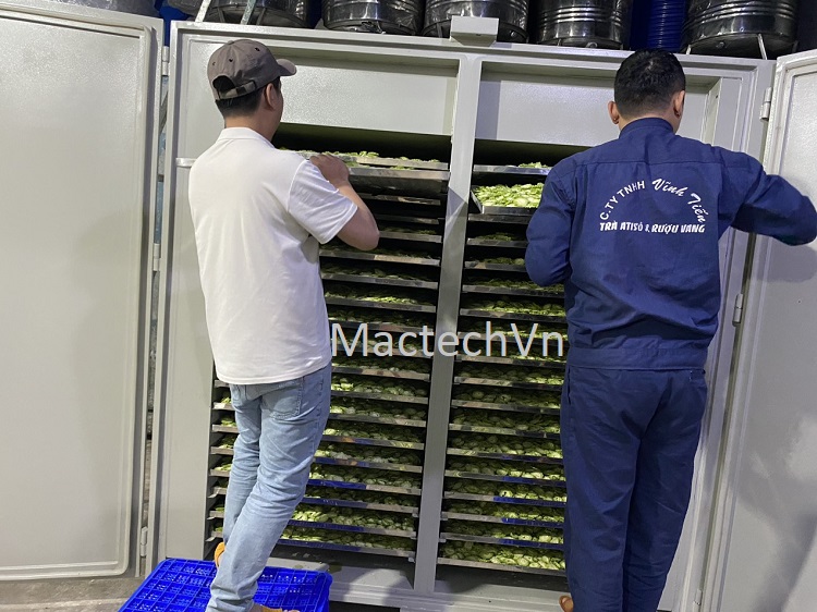 máy sấy lạnh mướp đắng sấy 500kg