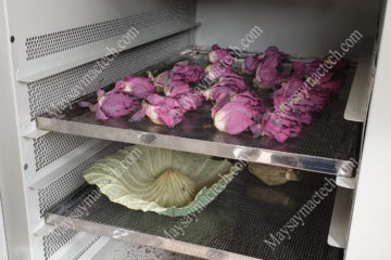 Hoa sen sấy khô bằng phương pháp sấy lạnh cho màu sắc đẹp