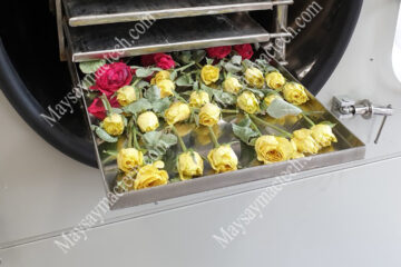 Sấy khô bông hoa hồng giữ hình dạng bằng sấy lạnh hay sấy thăng hoa